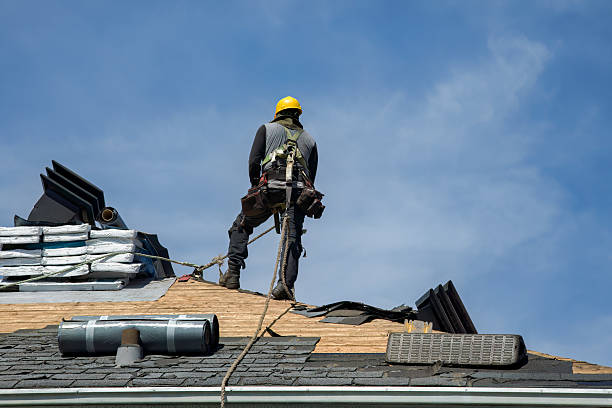 Professional Roof Replacement technician working in Reno, TX
